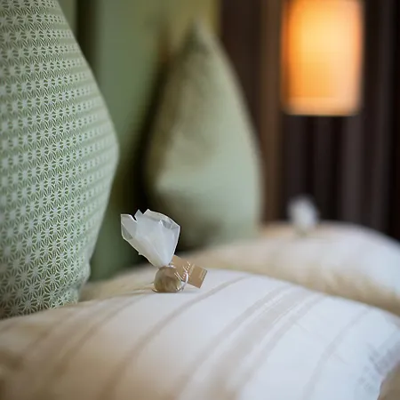 Triad Wiener Alpen Bett Dz אכסניה Bad Schönau