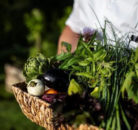 אכסניה Triad Wiener Alpen Bett Dz Bad Schönau