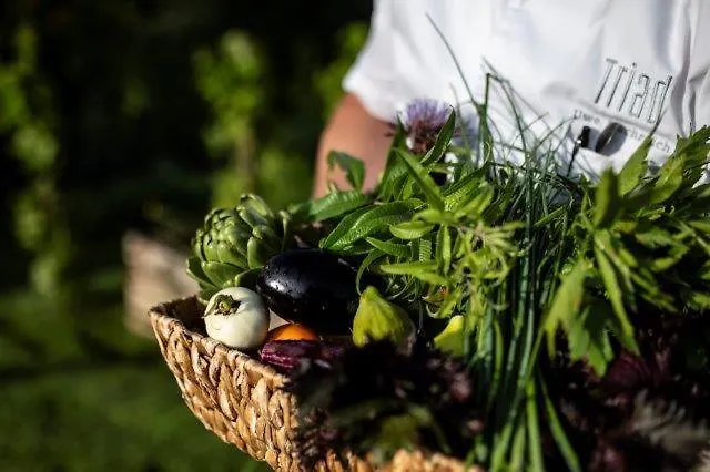 אכסניה Triad Wiener Alpen Bett Dz Bad Schönau