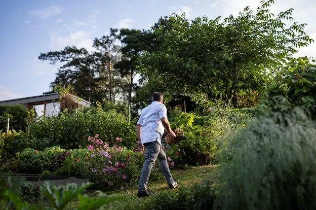 Triad Wiener Alpen Bett Dz *